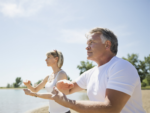 An older couple doing tai chi together outdoors icon